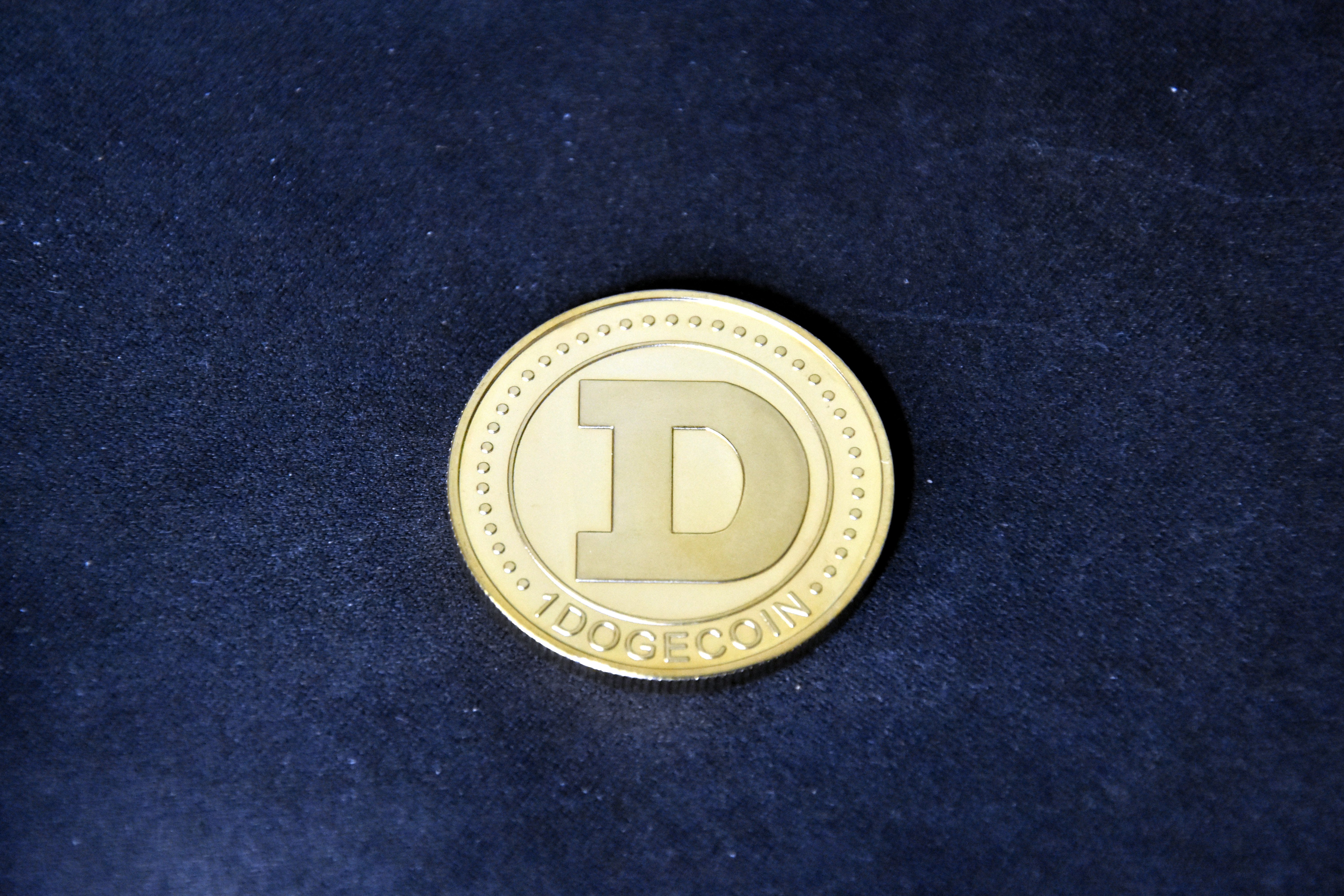 Dodgecoin Reserved Fund